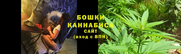 каннабис Новозыбков