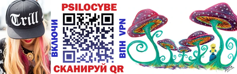 ссылка на мегу зеркало  Кузнецк  Галлюциногенные грибы MAGIC MUSHROOMS 