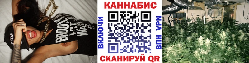 Каннабис Amnesia Кузнецк